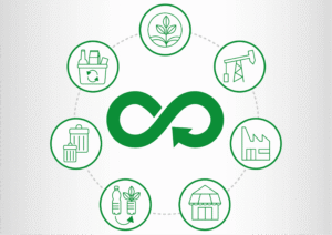 Como aplicar a economia circular no seu dia a dia e economizar em tempos de altos custos